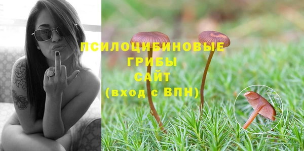 дживик Алзамай